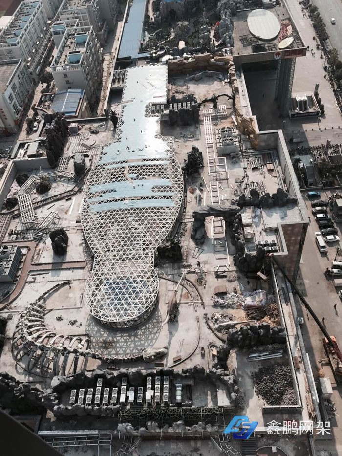 恐龍園網架工程