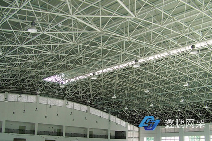 廣東藥學院鐘山分院體育館網架